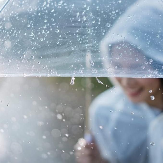 Reetrix Clear Dome See Through Umbrella Transparent Rain Windproof
