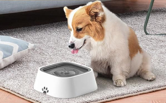 Reetrix Pet Bowl Floating Anti- Overflow